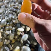 和田玉（糖玉）未镶嵌珠宝奇石