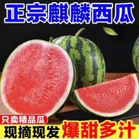 【云南麒麟瓜】脆甜多汁皮薄云南当季新鲜现摘包邮直发防撞气柱加厚