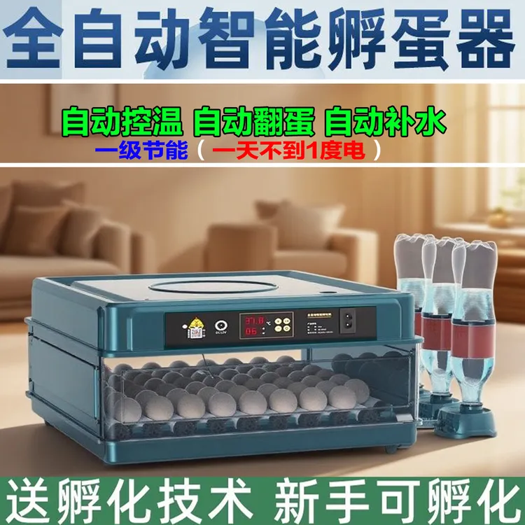 全自动小型家用孵蛋器智能孵化机孵化箱适用于芦丁鸡等孵化器
