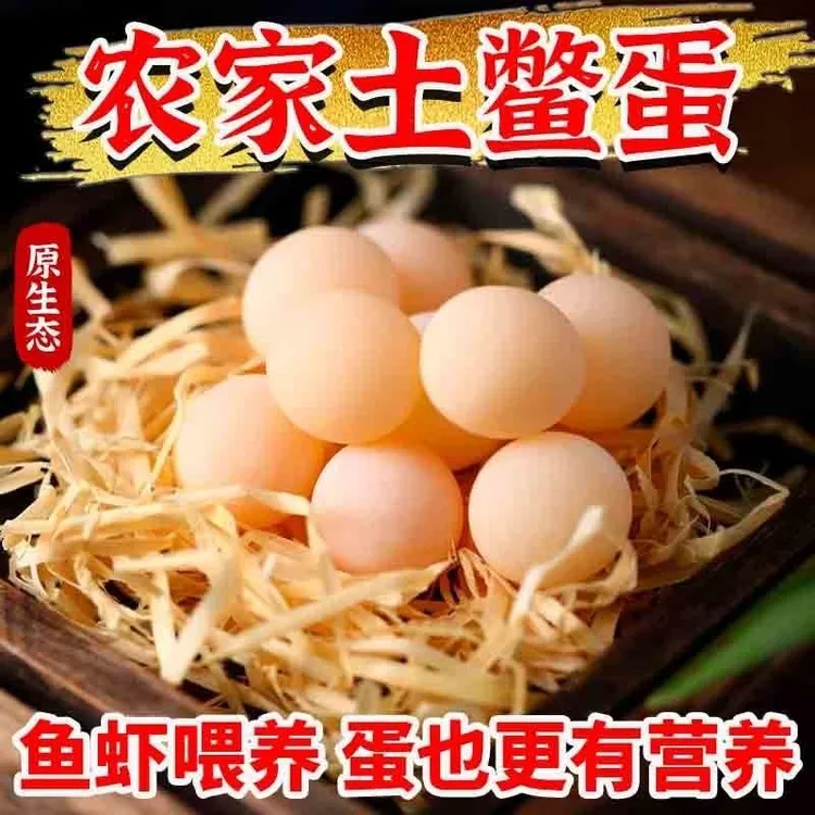 【送卤料包 菜谱】正宗十年老甲鱼蛋现挖现发新鲜食用营养宝宝辅食