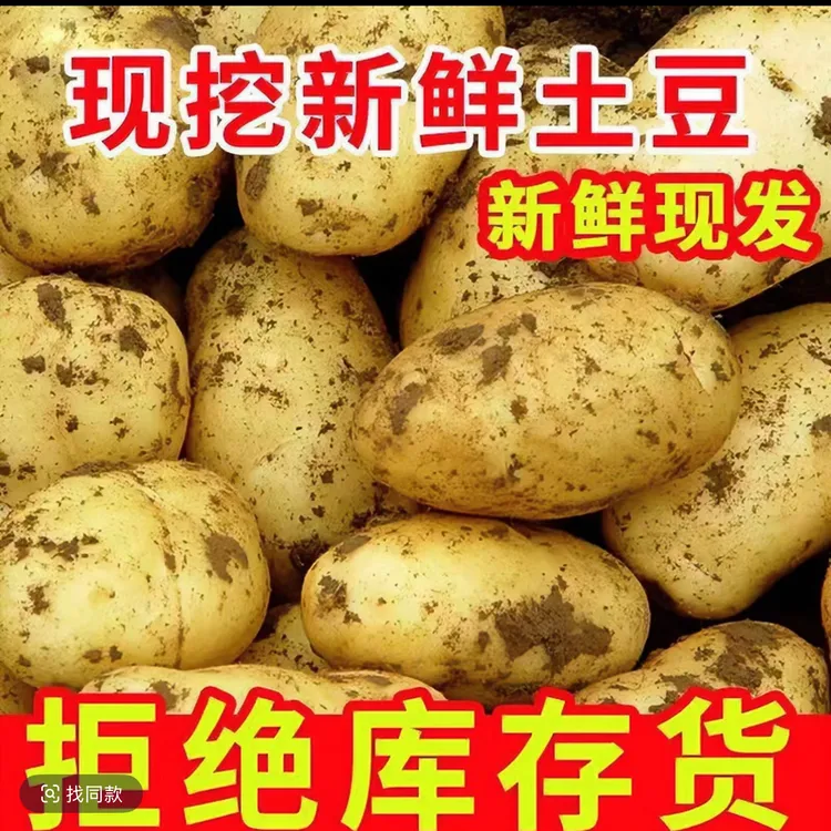 农家自种黄皮黄心土豆新鲜现发沙糯好吃当季蔬菜