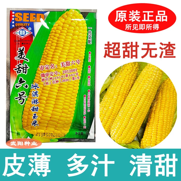水果玉米种子美甜六号香甜早熟高产庭院春秋季播50克