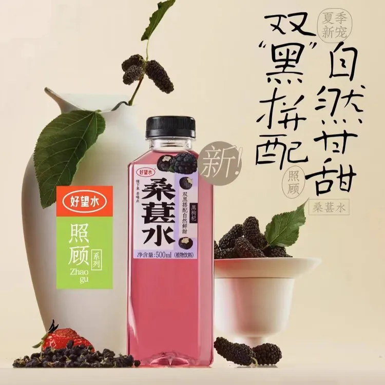 【新品上市】好望水桑葚水500ml*15瓶新日期植物饮料健康饮品