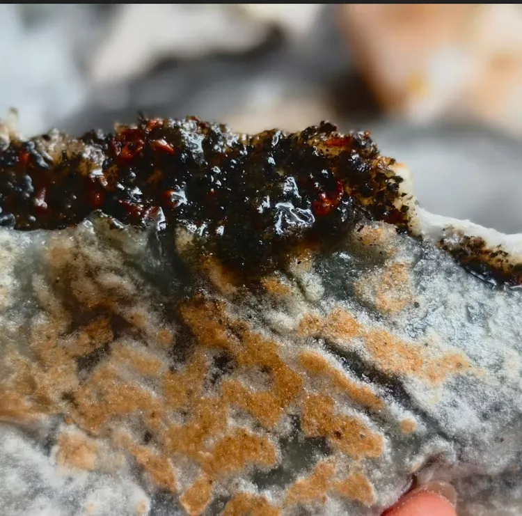 黄山地方特色传统小吃 徽州手工挞粿 黑芝麻糯米粿 五个装（甜味）