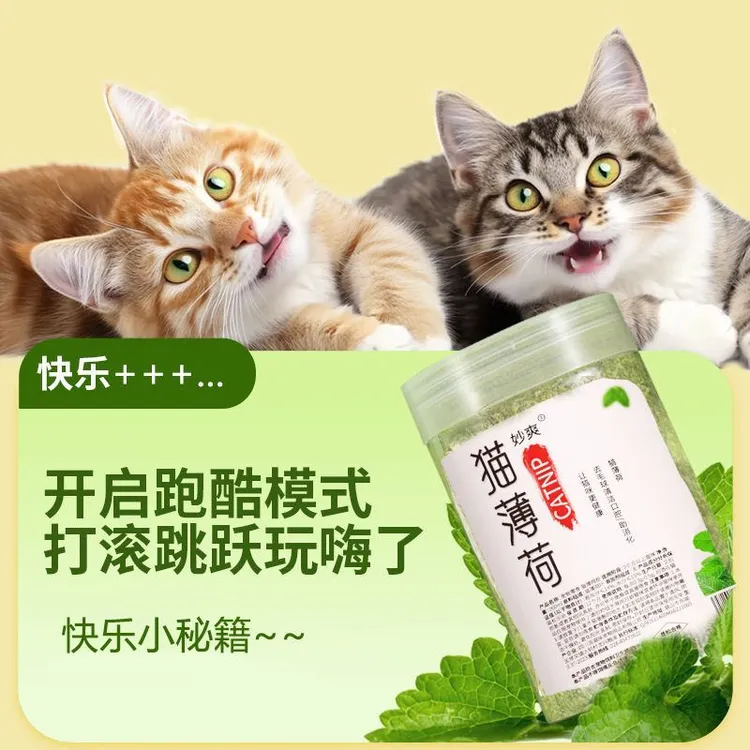 猫薄荷粉 可食用猫薄荷260ml植物细粉可填充猫玩具猫零食成猫通