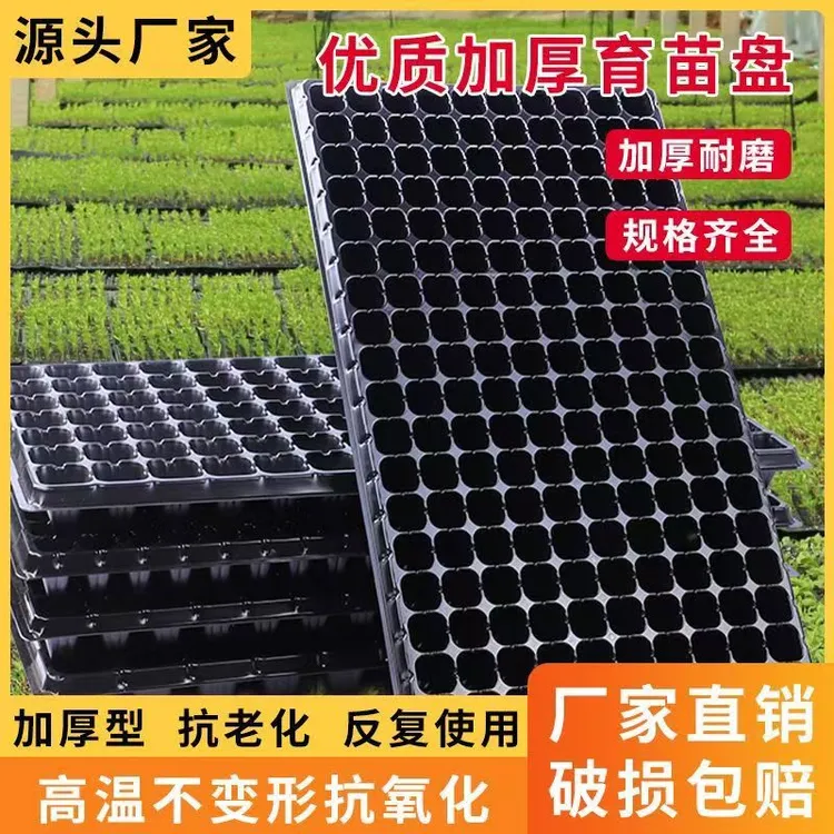 加厚育苗盘育苗盘穴盘草莓盘玉米苗盘辣椒西瓜蔬菜托盘营养育苗杯