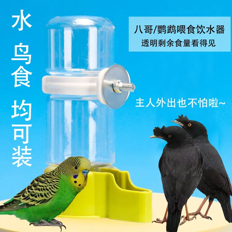 【大容量设计 不卡粮】自动喂食饮水器防漏宠物设计鹦鹉八哥喂水盒