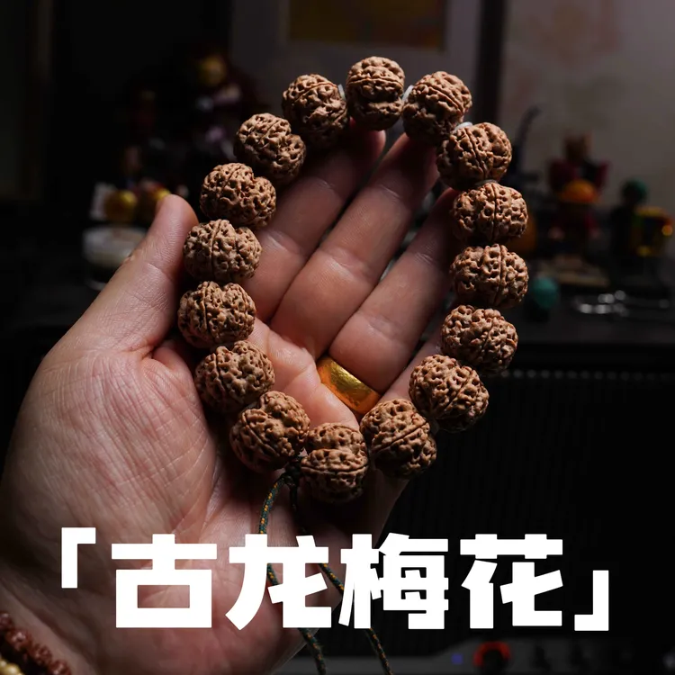 「古龙梅花.雅藏版」大金刚菩提手串