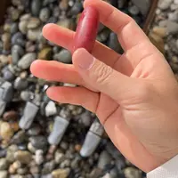 石英岩玉未镶嵌车挂