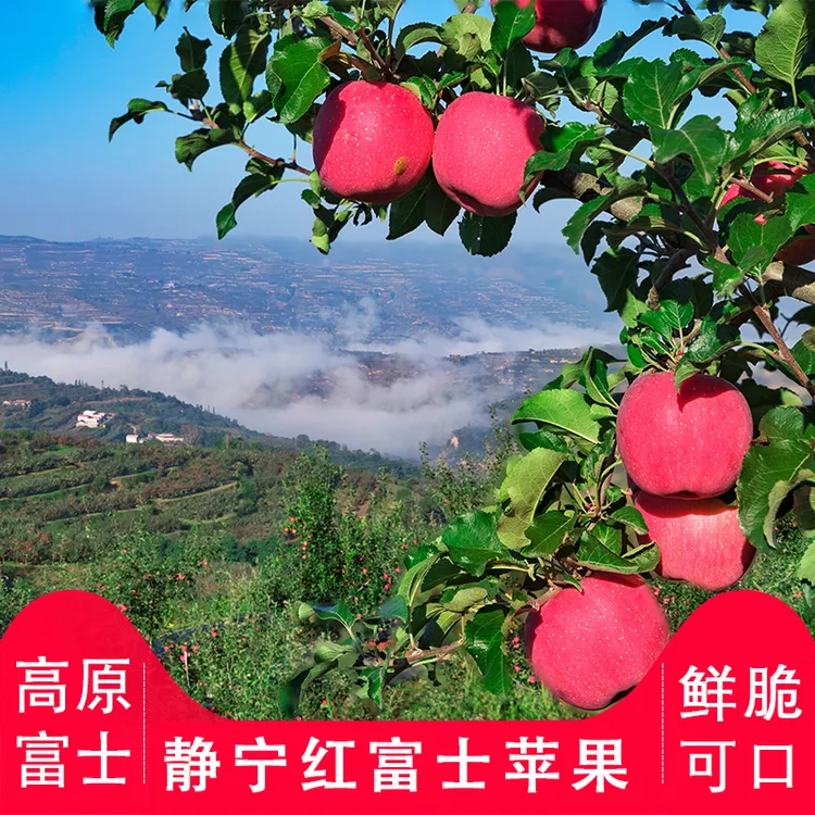 demeiguo/德美果新鲜静宁苹果德美果红富士5脆甜可口发货