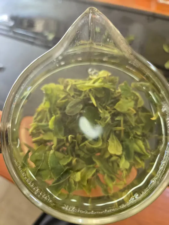 2025年4月28日炒浓香日照绿茶露天茶
