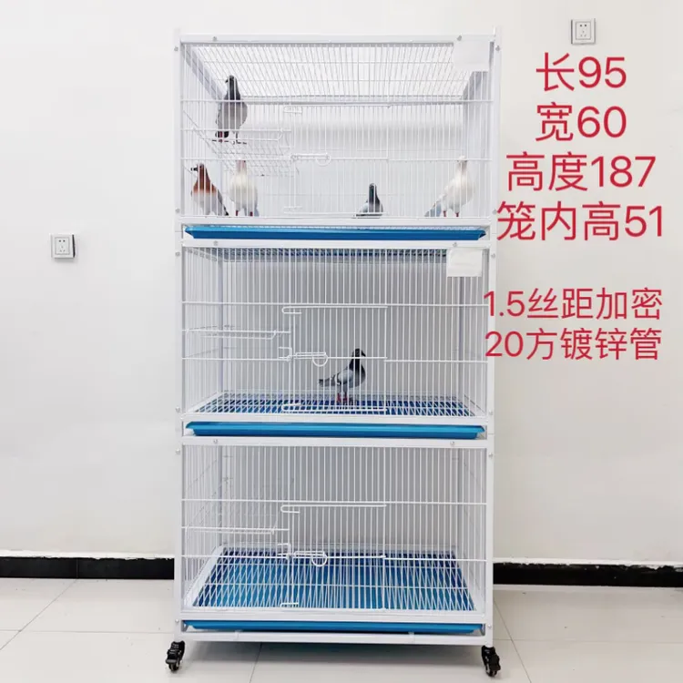 加密防黄鼠狼鸽子笼双层繁育室内信鸽繁殖笼带平台架