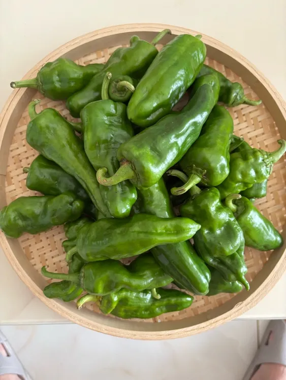 湖北辣椒新鲜多肉中辣辣椒农家自种蔬菜