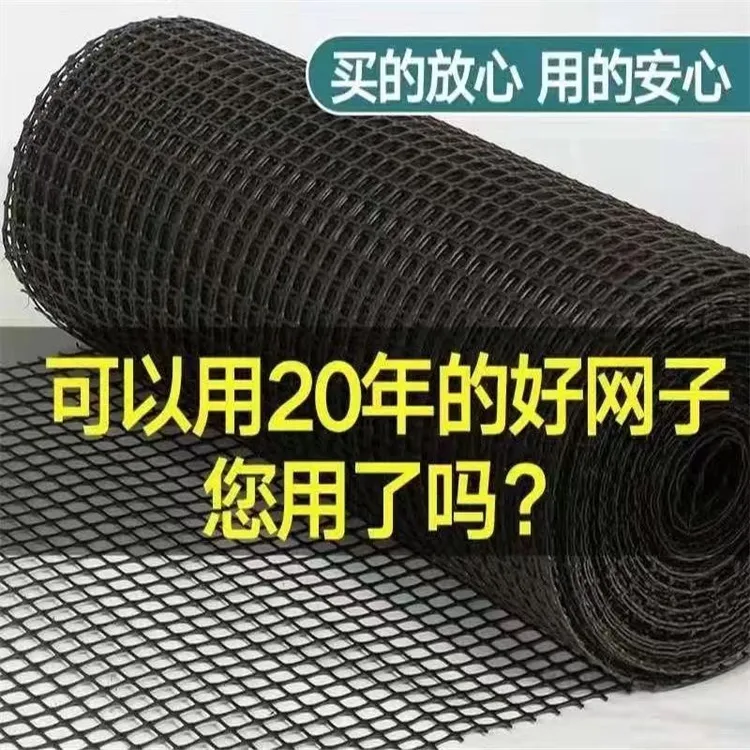 厂家直销养殖网拦鸡围网塑料围栏网隔离网玉米网果园圈地鸡鸭鹅网