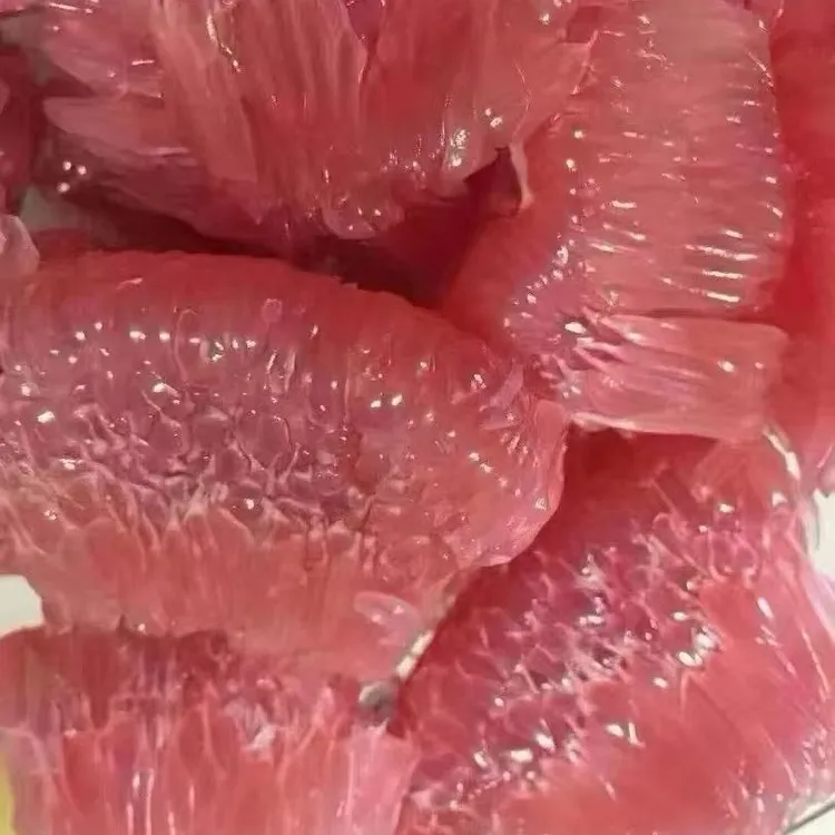正宗梅州三红心蜜柚老树头茬鲜果现摘现发清甜多汁