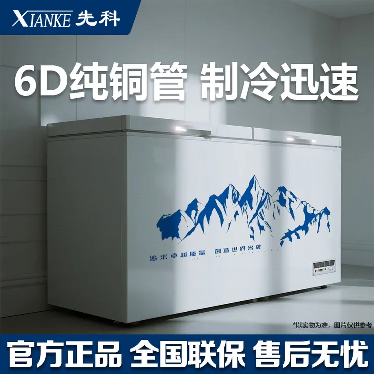 先科冰柜商用家用冷柜雪糕大容量全冷冻柜展示柜单温双温冰柜卧式
