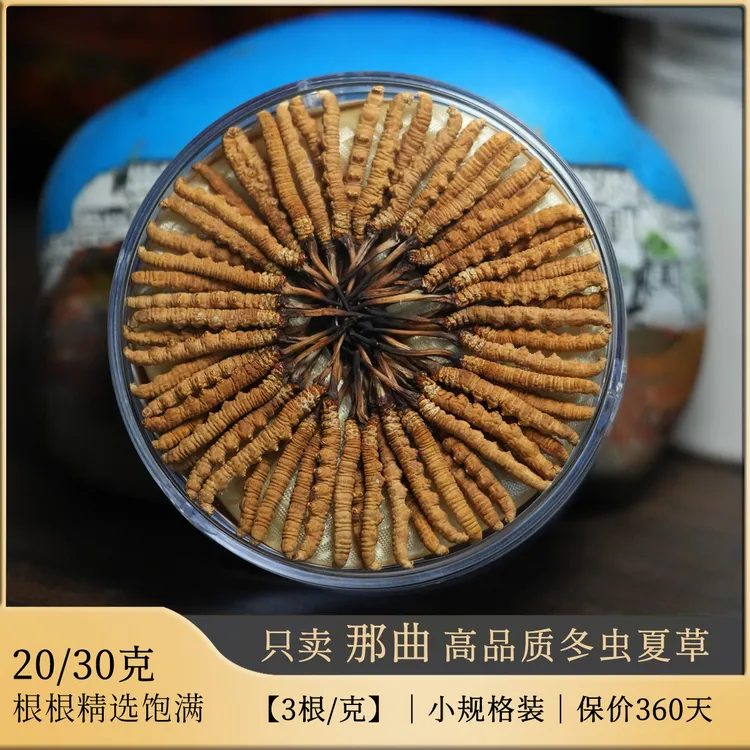 西藏冬虫夏草20克高端礼盒装 高海拔天然滋补品西藏产区发货