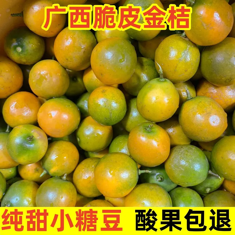 纯甜广西脆皮小金桔当季新鲜现摘桂林滑皮金桔