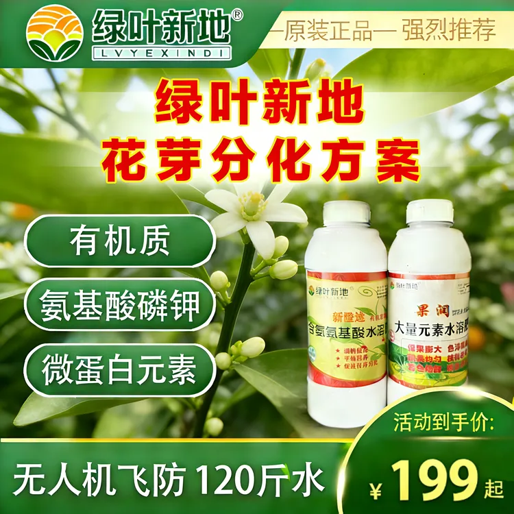 绿叶新地花芽分化方案（促花/壮花/保花/坐果/增产）