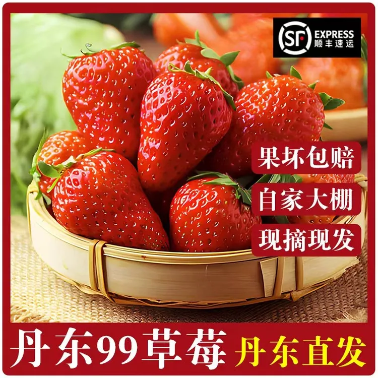丹东99草莓新鲜采摘红颜孕妇水果顺丰空运核心产区香甜可口
