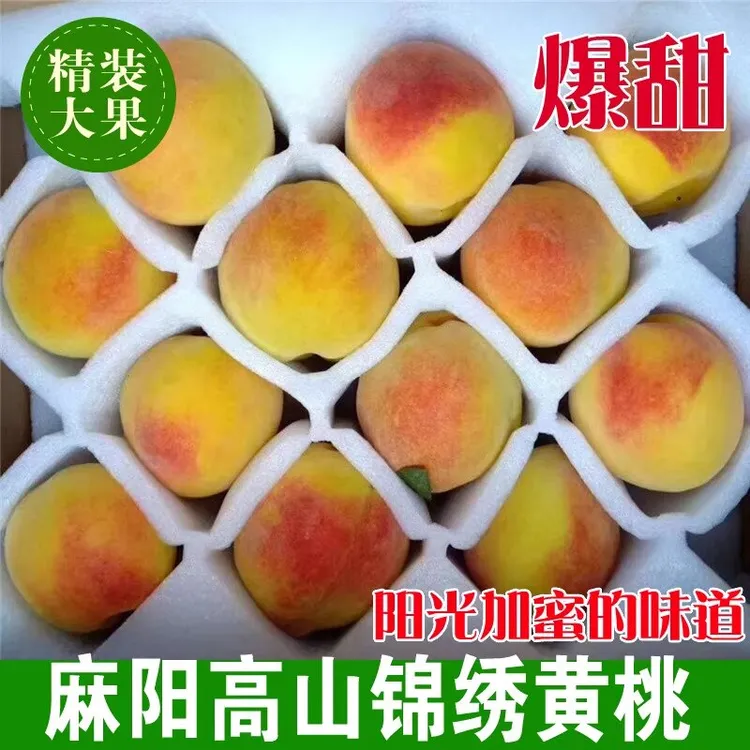 湖南怀化高山锦绣黄桃脆甜多汁果园现摘新鲜水果