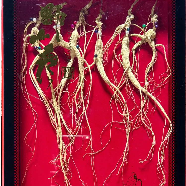 礼盒 东北桓仁林下山参人参干山参