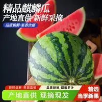 云南麒麟西瓜多汁新鲜美都现摘薄皮整箱水果应季精选推荐