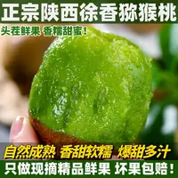 陕西眉县徐香绿心猕猴桃新鲜水果香甜多汁应季美味现摘现发12枚