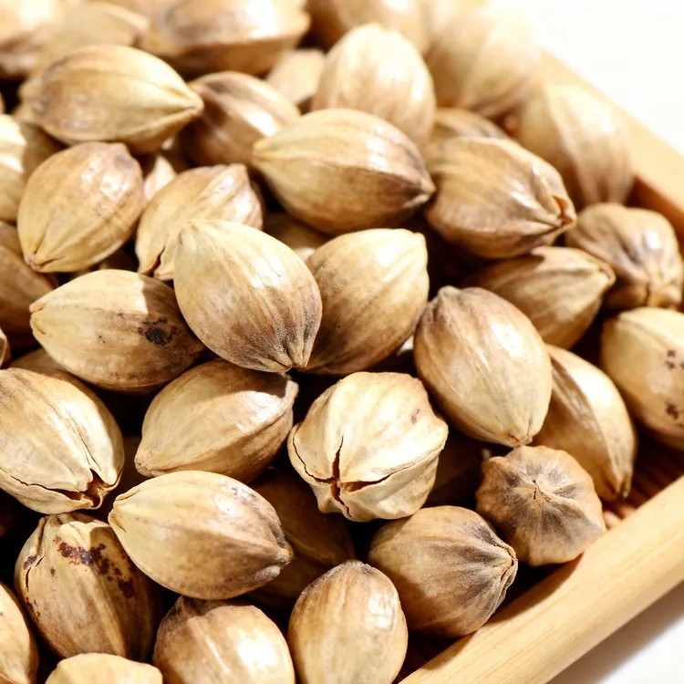 天水秦安麻子甘肃特产麻子大粒大颗粒麻籽包邮带壳