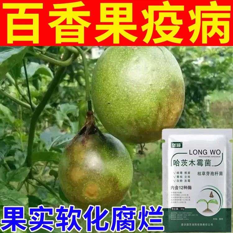 百香果疫病专用微生物菌剂炭疽病软腐病灰霉病溃疡病用哈茨木霉菌