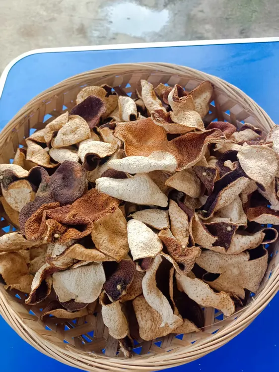 果农2023年二红皮正宗新会陈皮（天然生晒）