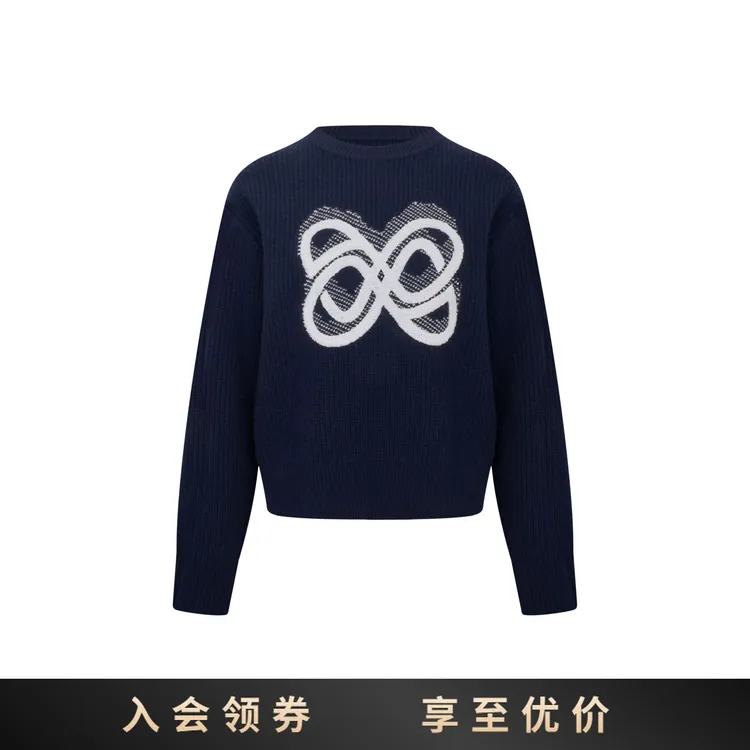 ANN ANDELMAN 常规休闲风女秋季毛针织衫女装设计师百搭