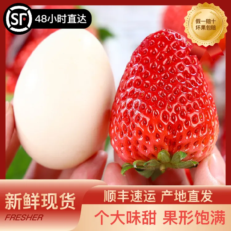 【顺丰空运】正宗丹东九九牛奶草莓新鲜采摘软糯香甜饱满产地直发