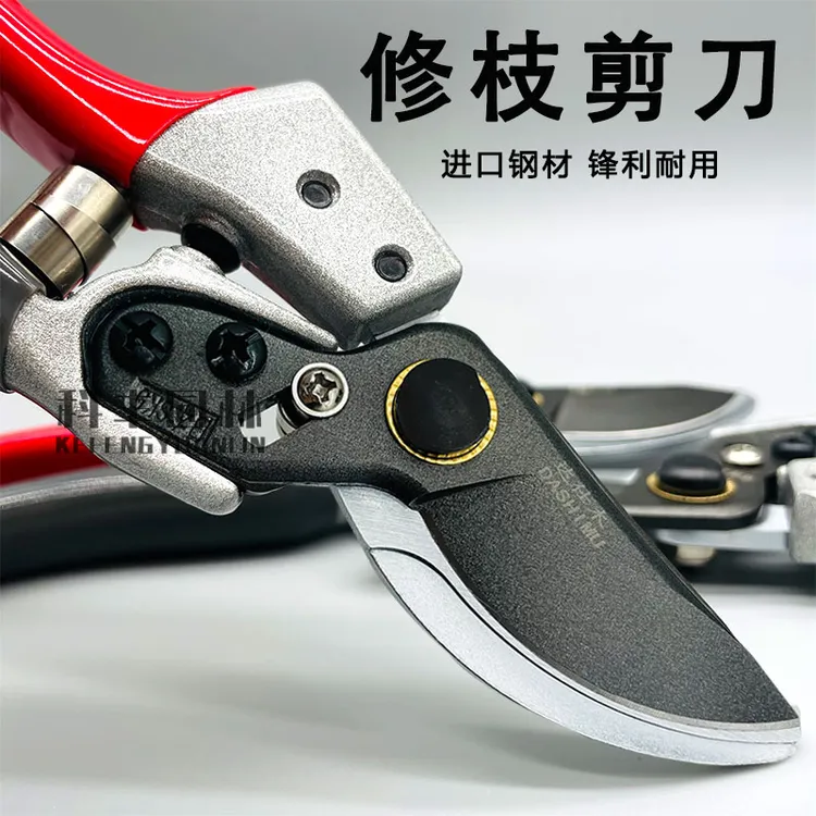 剪树枝专用剪子修剪树枝剪刀修枝剪剪刀修剪树枝达仕木省力果枝剪商品图