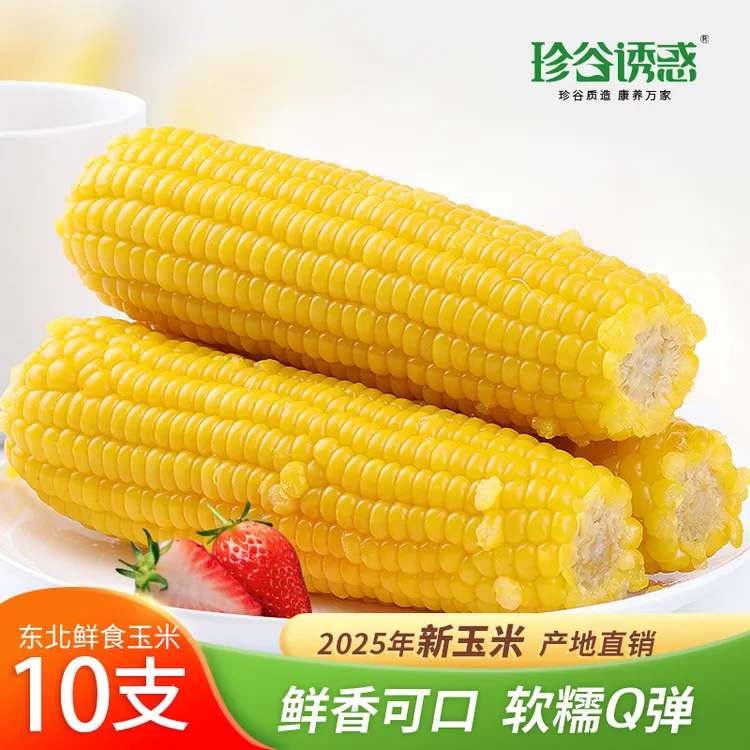 珍谷诱惑【25年新玉米】黄糯玉米240g*10根（可试吃2根）