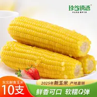 珍谷诱惑【25年新玉米】黄糯玉米240g*10根（可试吃2根）