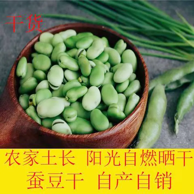 大蚕豆农家自种阳光直晒蚕豆干当年货