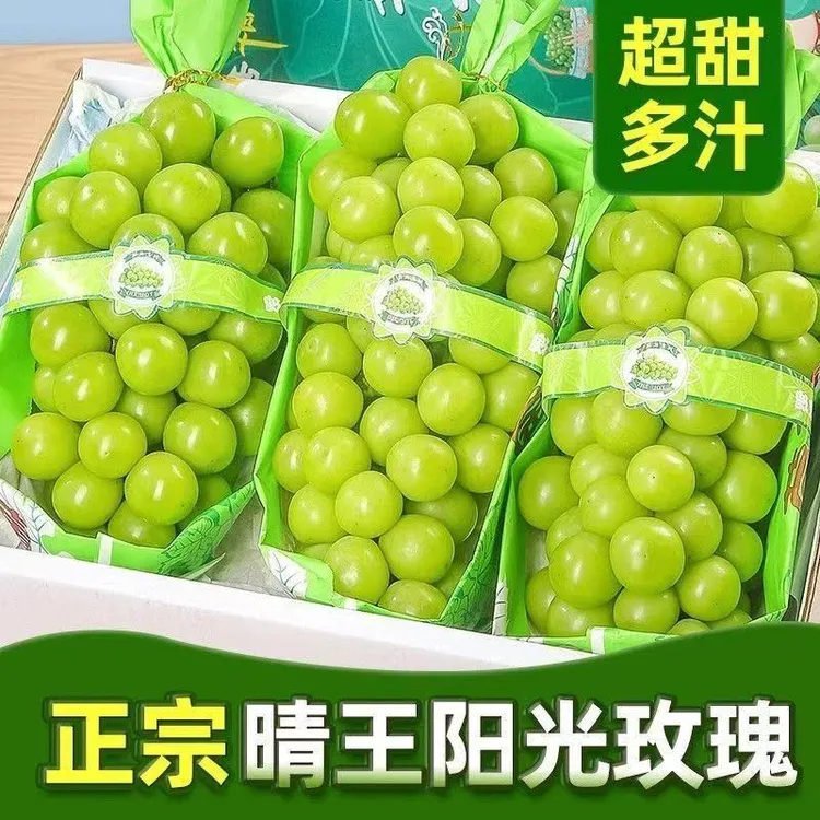 【顺丰发货】精品特大果5斤装正宗当季新鲜阳光玫瑰新鲜饱满现摘