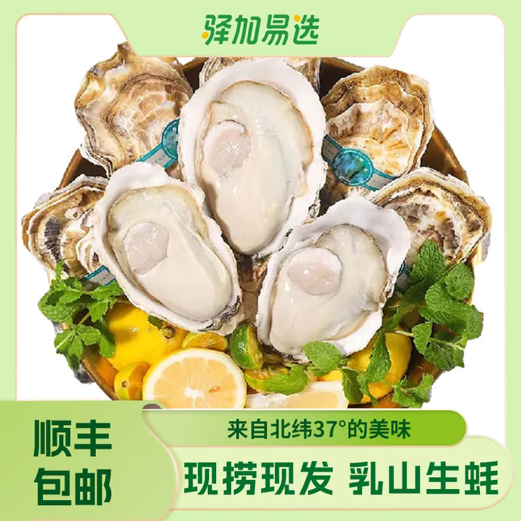 【正宗乳山生蚝5斤装起】鲜活肥美，原产地包邮，可蒸煮烤YZYW