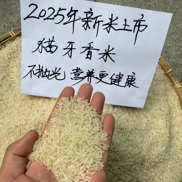 【直播间专属】正宗猫牙米不抛光不打蜡原生态农家长粒香米长粒香米