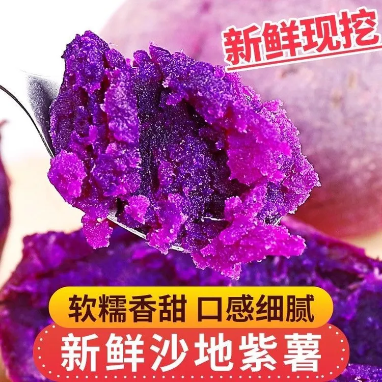 小紫薯新鲜现挖粉糯香甜粗粮早餐宝宝辅食沙地紫罗兰多规格可选