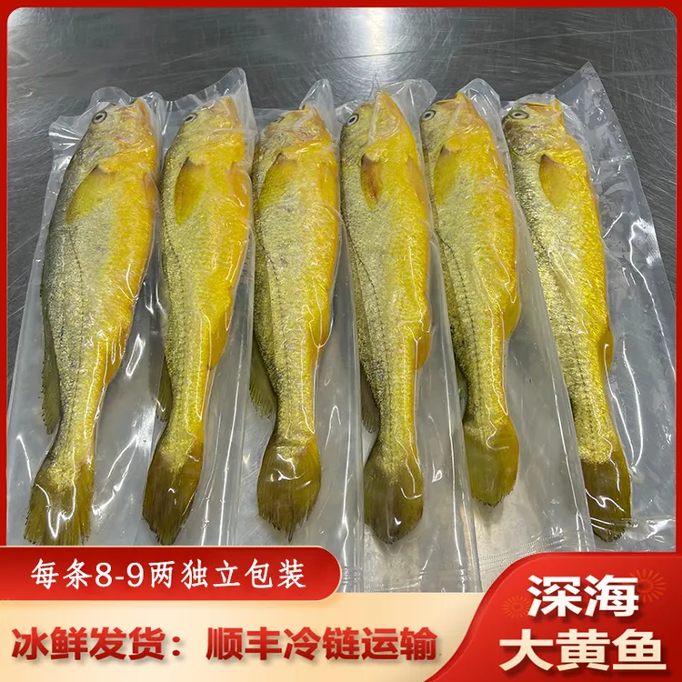 【直播推荐】拍4条送1条，宁德深海大黄鱼，冰鲜发货顺丰冷链包邮