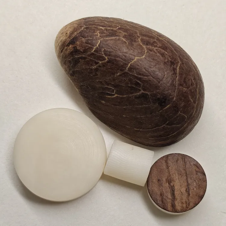 象牙果文玩雕刻原料混批手工手作DIY串珠象牙果实