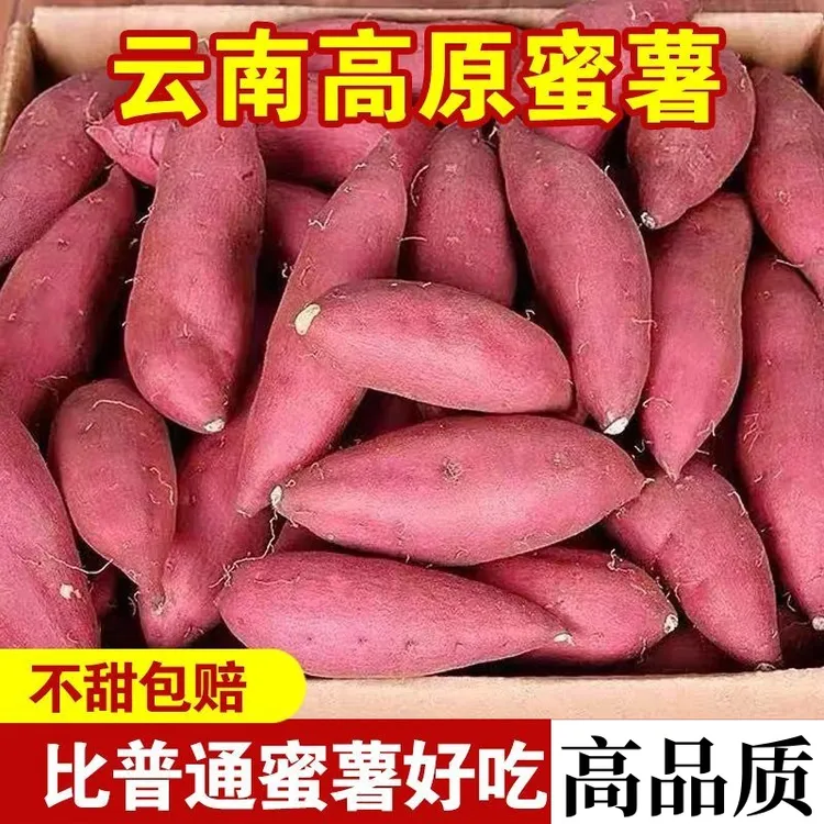 【软糯香甜】云南高原蜜薯红薯地瓜番薯西瓜红蜜薯农家红薯沙地种植