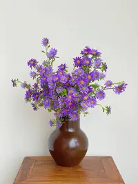 紫色迷你菊1束 -- 以直播间实物为准