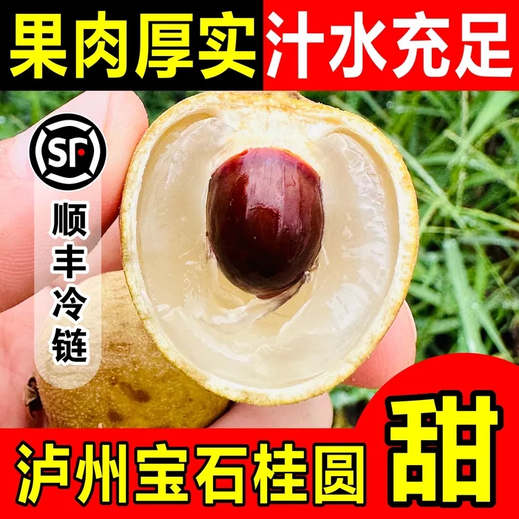 【泸州桂圆宝石1号】泸州桂圆百年老树正宗张坝桂圆石硖龙眼新鲜现