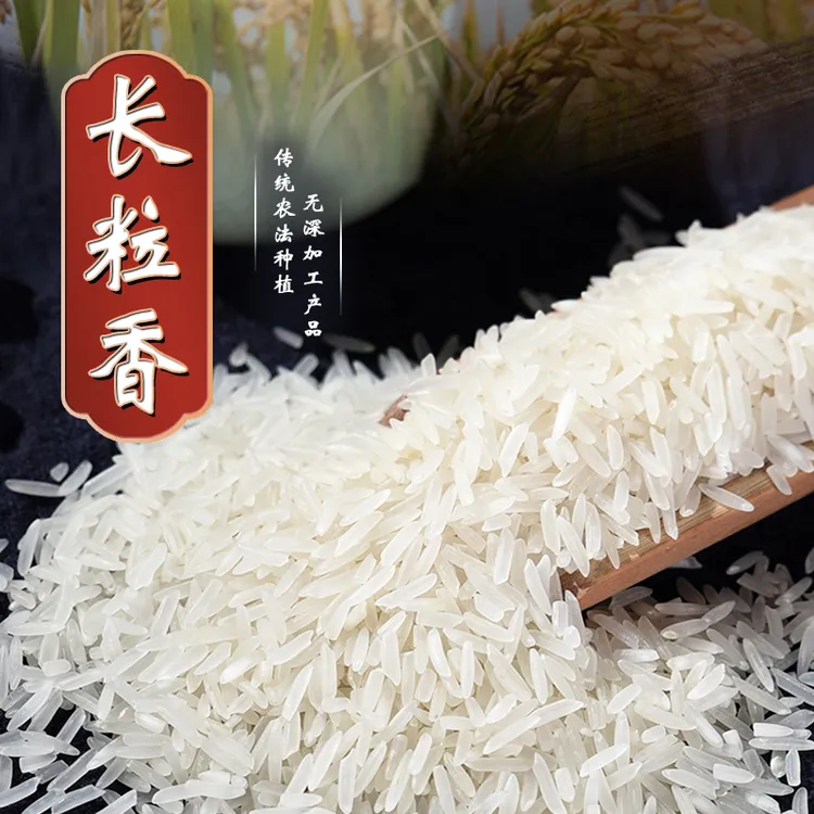 觅香福【新人专属】50斤当季新米长粒香米10斤20斤50斤丝苗米