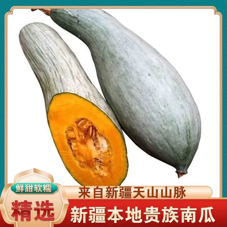 【新疆直发】贵族南瓜板栗味丑瓜金丝栗瓜宝宝辅食老南瓜粉糯香甜