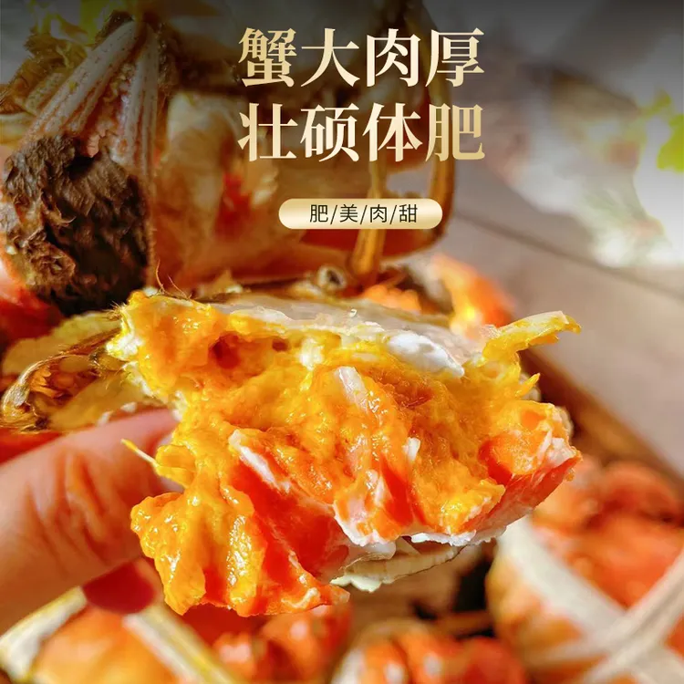 【活蟹】苏州金标大公蟹 3.2-3.0两 10只