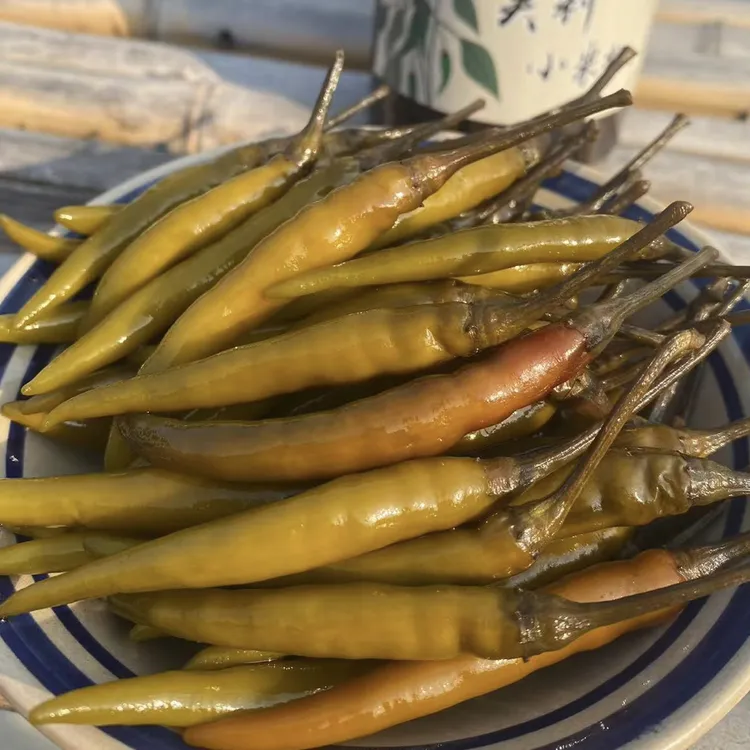 青米椒酱香味广西横县农家特产下饭菜
